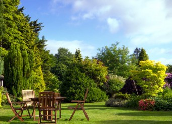 jardin vert avec table en bois