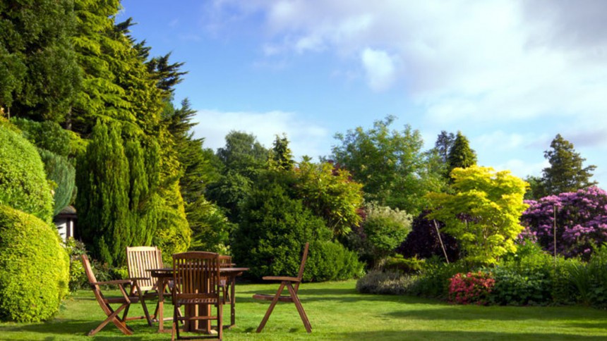 jardin vert avec table en bois